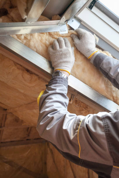 Insulation Inspection Services in Trowbridge Park, MI