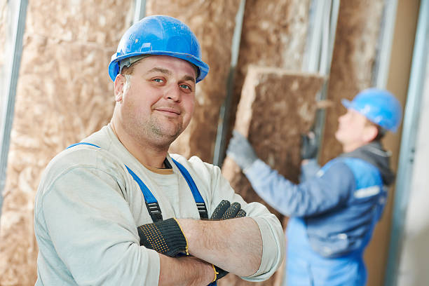 Best Cellulose Insulation  in Trowbridge Park, MI