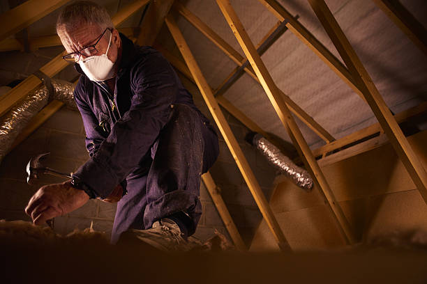 Best Insulation Contractors for Homes  in Trowbridge Park, MI